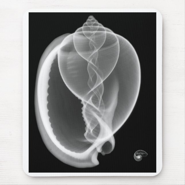 X-ray bonnet seashell mouse pad (Front)