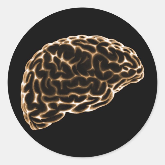 X-RAY BRAIN SIDE VIEW ORANGE CLASSIC ROUND STICKER (Front)