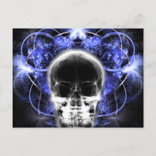 X-Ray Butterfly Fractal Skull - Indigo Postcard
