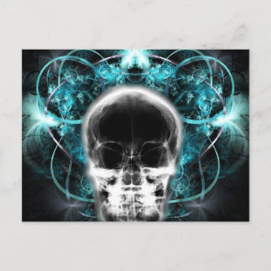  X-Ray Butterfly Fractal Skull - Light Blue Postcard