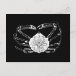 X-Ray Crab Postcard