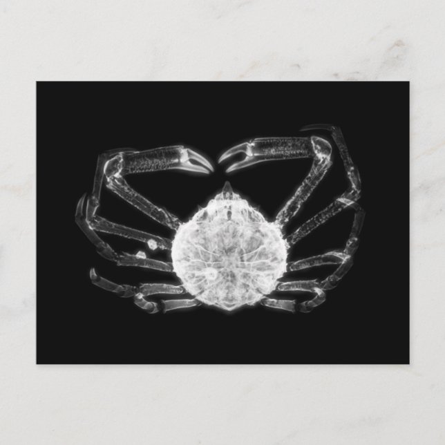 X-Ray Crab Postcard (Front)