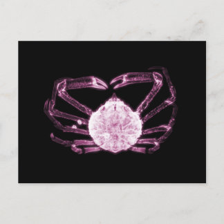X-Ray Crab Postcard