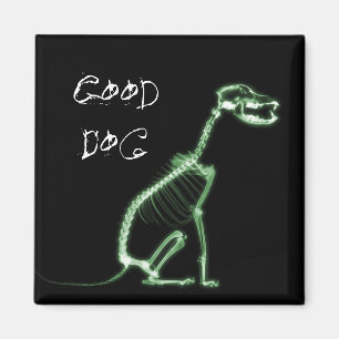 X-RAY GOOD DOG SKELETON SITTING - GREEN MAGNET