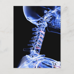 X-ray image of the bones of the neck postcard