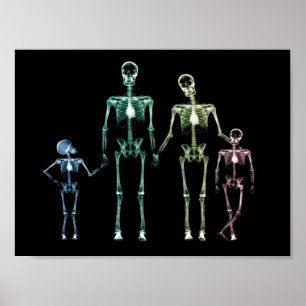 X-Ray My Family Poster
