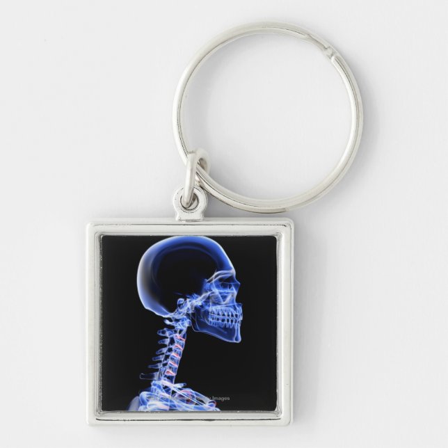 X-ray of the bones in the neck key ring (Front)