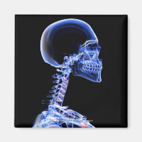 X-ray of the bones in the neck