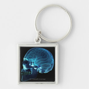 X-ray of the brain inside a skull key ring