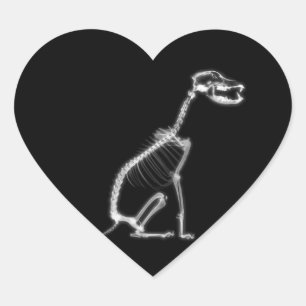X-RAY PUPPY DOG SKELETON SITTING - B&W HEART STICKER