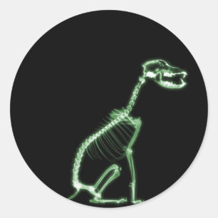 X-RAY PUPPY DOG SKELETON SITTING - GREEN CLASSIC ROUND STICKER