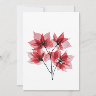 X-ray Red Poinsettia Christmas Holiday Card