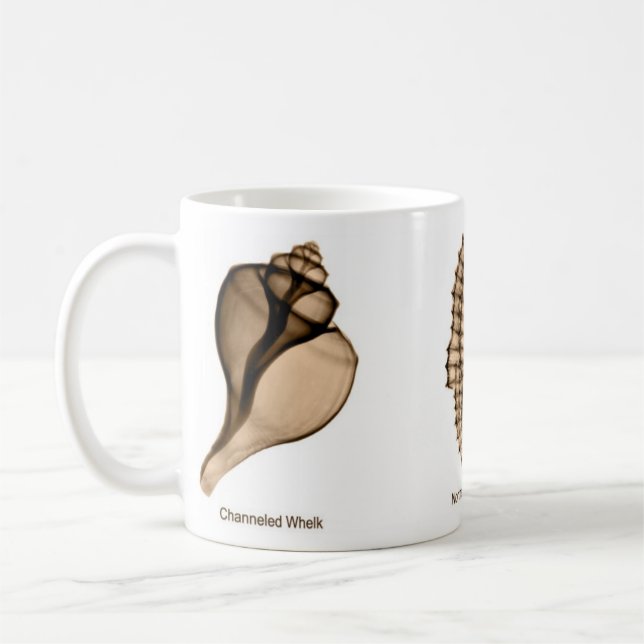 X-Ray Seashell Mug with Whelk, Sea Horse, and Fig (Left)