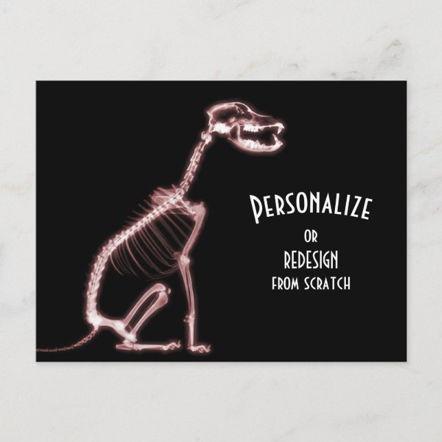 X-Ray Skeleton Dog - Red Postcard (Front)