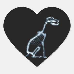X-RAY SKELETON DOG SITTING - BLUE & BLACK HEART STICKER
