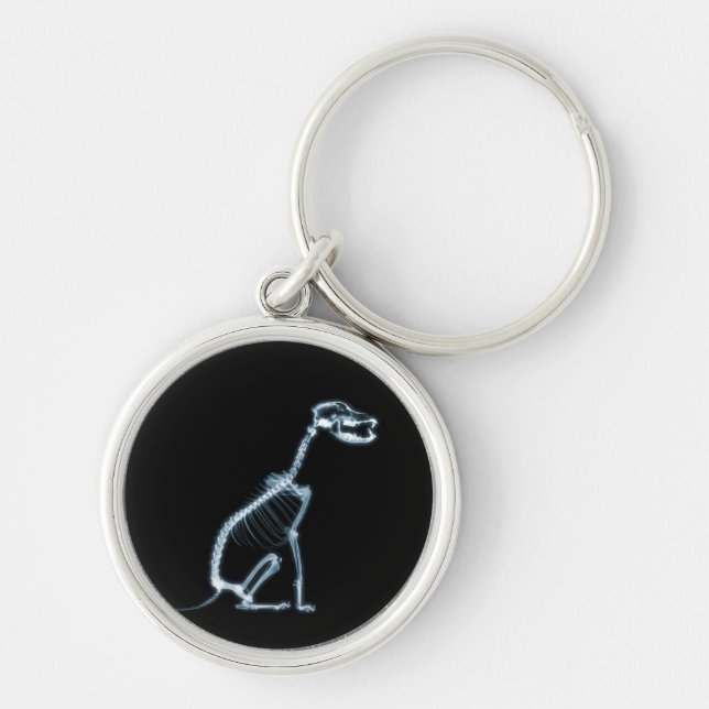 X-RAY SKELETON DOG SITTING - BLUE & BLACK KEY RING (Front)