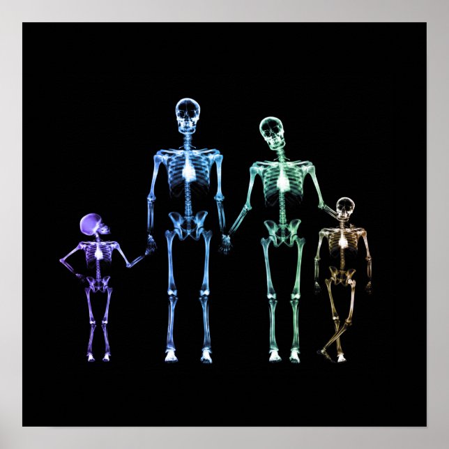 X-Ray Skeleton Family - Multicolor 3 Poster (Front)