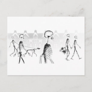 X-Ray Skeletons Afternoon Stroll Neg BW Postcard