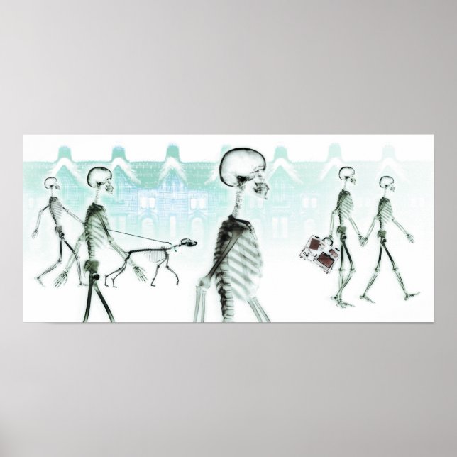 X-Ray Skeletons Afternoon Stroll Poster (Front)