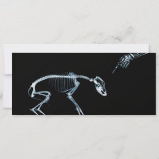 X-Ray Skeletons Blue Bad Dog Invites