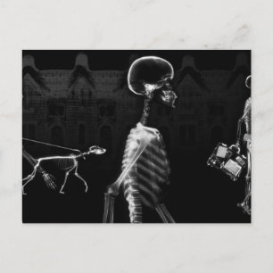 X-Ray Skeletons Midnight Stroll Black White Postcard