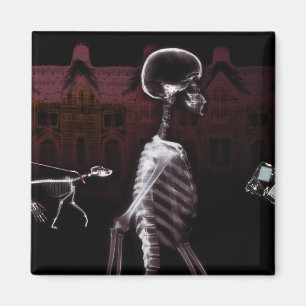 X-Ray Skeletons Midnight Stroll Magnet
