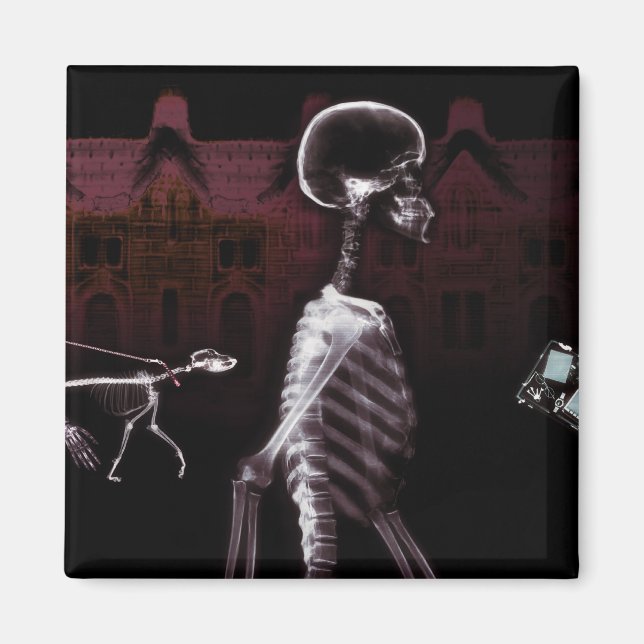 X-Ray Skeletons Midnight Stroll Magnet (Front)