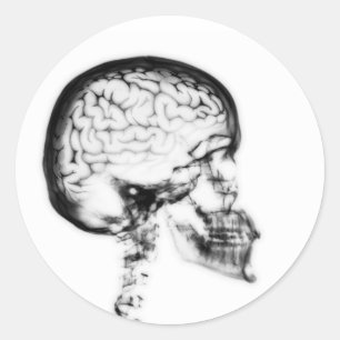 X-RAY SKULL BRAIN - BLACK & WHITE CLASSIC ROUND STICKER