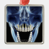 X-ray style look at human teeth