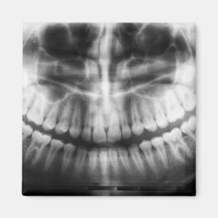 X-Ray Teeth Mouth Smile Black and White Magnet