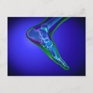 X-Ray View Of Human Foot 1 Postcard