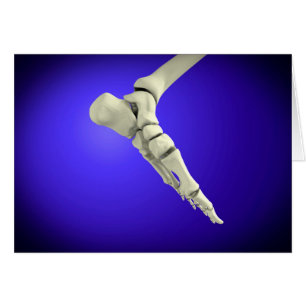 X-Ray View Of Human Foot 2