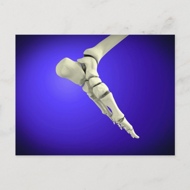 X-Ray View Of Human Foot 2 Postcard (Front)