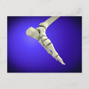 X-Ray View Of Human Foot 2 Postcard