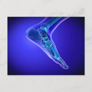 X-Ray View Of Human Foot 3 Postcard