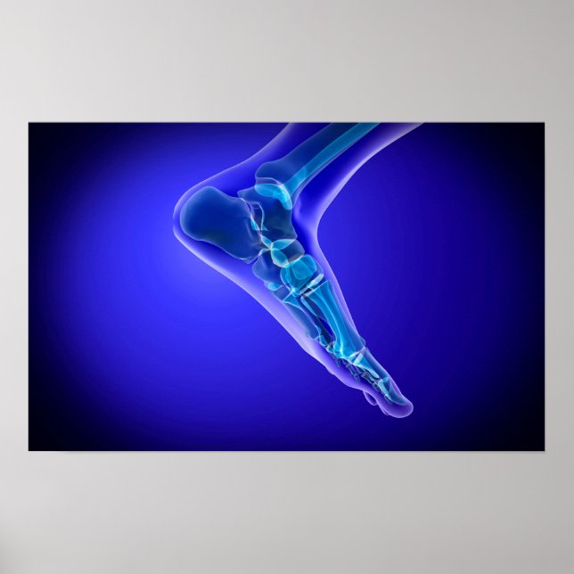 X-Ray View Of Human Foot 3 Poster (Front)