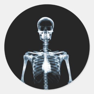 X-Ray Vision Blue Single Skeleton Classic Round Sticker