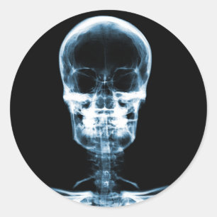 X-RAY VISION SKELETON SKULL - BLUE CLASSIC ROUND STICKER