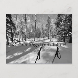 XC Greetings from Tahoe! Postcard
