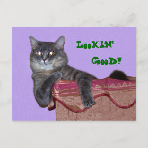 Xena Chillin' Postcard - Customised