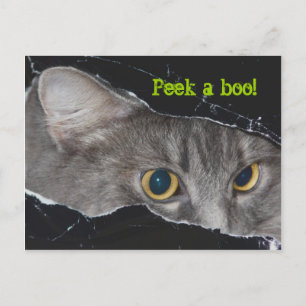 Xena peek-a-boo Postcard - Customised