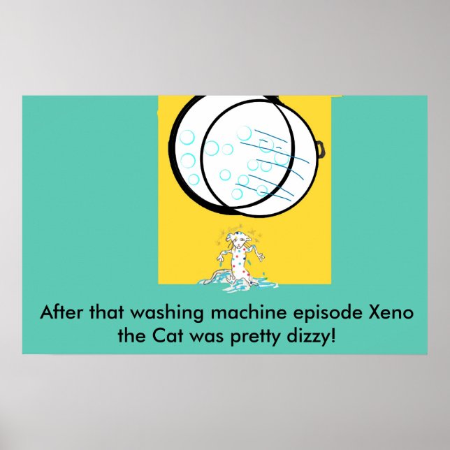 xeno pg 5041 copy, After that washing machine e... Poster (Front)