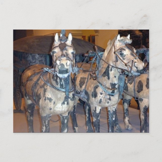 xi'an horses postcard (Front)