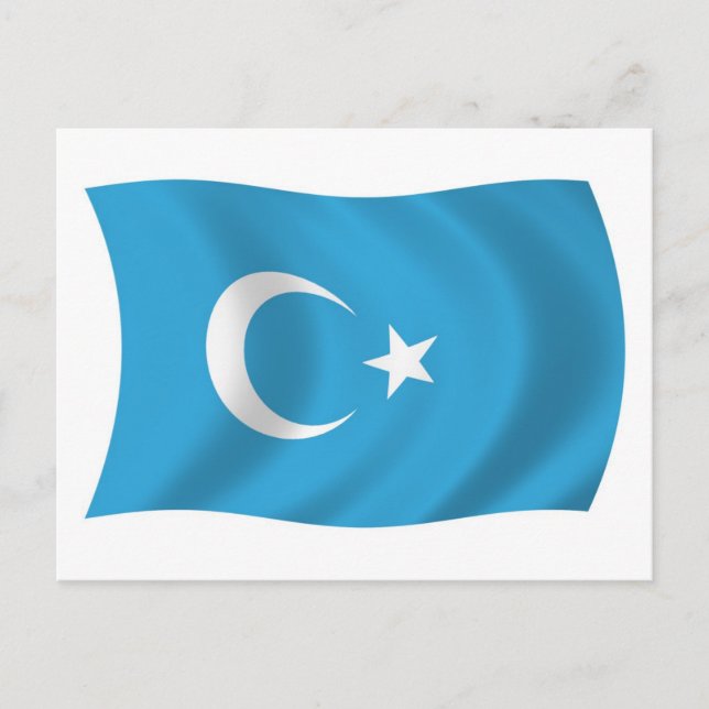 Xinjianj Uigur Flag Postcard (Front)