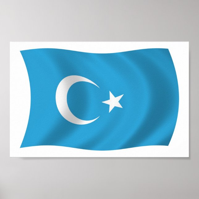 Xinjianj Uigur Flag Poster Print (Front)