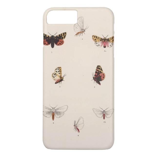XL Arctia, Leucarctia, Euchaetes Case-Mate iPhone Case (Back)