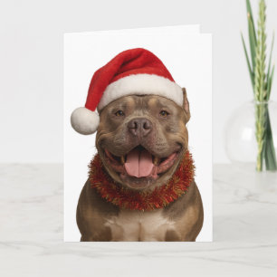 XL Bully in a Santa hat Christmas card