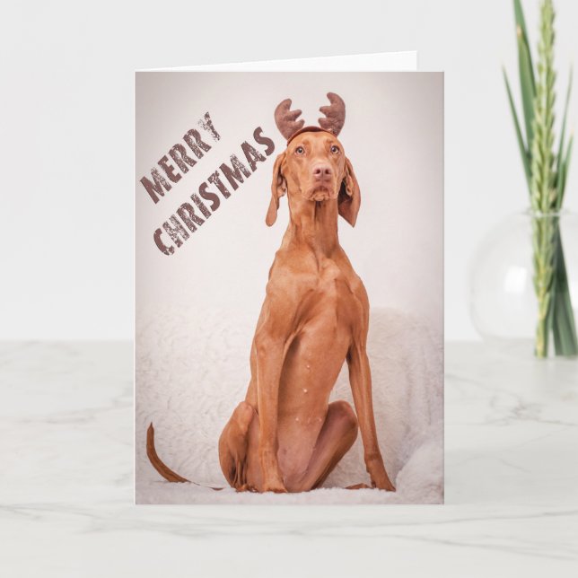 Xmas Card / Christmas Card "Magyar Vizsla" (Front)