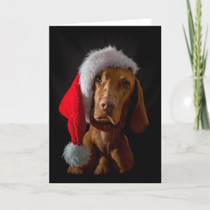 Xmas Card / Christmas Card "Magyar Vizsla"