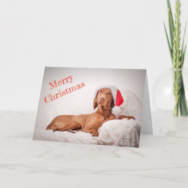 Xmas Card / Christmas Card "Magyar Vizsla" (Front)